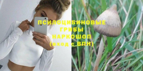 тгк Михайлов