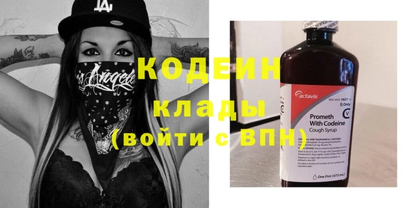 шишки Горнозаводск