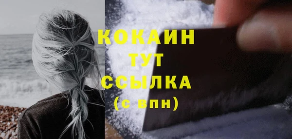 шишки Горнозаводск