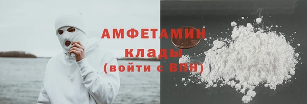 шишки Горнозаводск