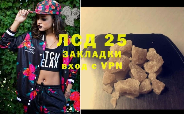 шишки Горнозаводск