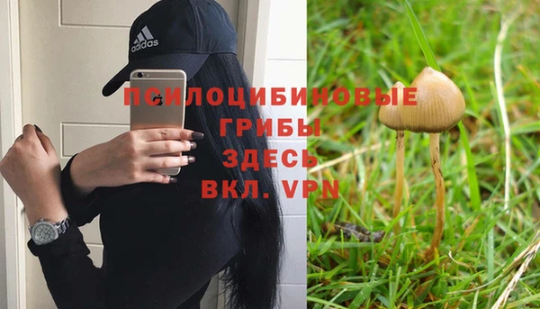 шишки Горнозаводск