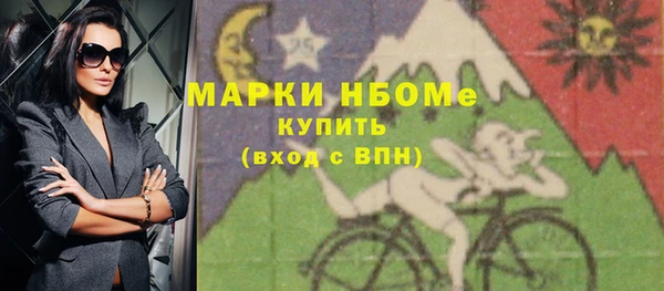 шишки Горнозаводск